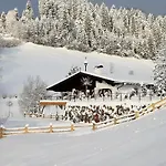 Apartament Alpin Charme Apartments Boutique Chalet Kitzbichl *