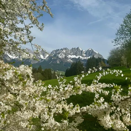 Chalet Kitzbichl By Alpin Charme Apartments * Reith bei Kitzbuehel