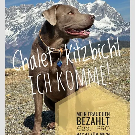 Chalet Kitzbichl By Alpin Charme Apartments Reith bei Kitzbuehel
