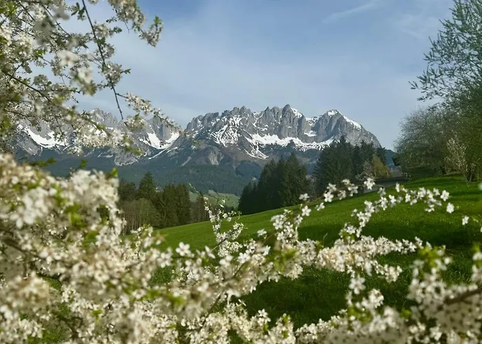 Alpin Charme Apartments Boutique Chalet Kitzbichl * Reith bei Kitzbühel