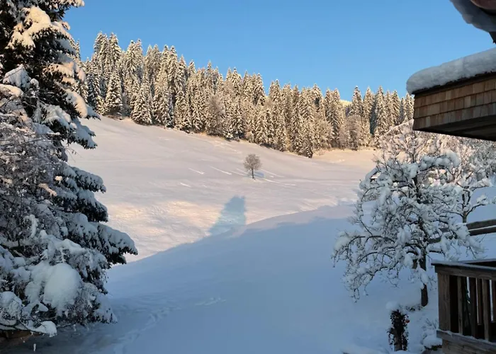 Alpin Charme Apartments Boutique Chalet Kitzbichl