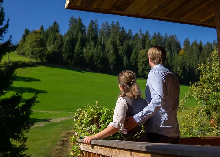Lejlighed Alpin Charme Apartments Boutique Chalet Kitzbichl *