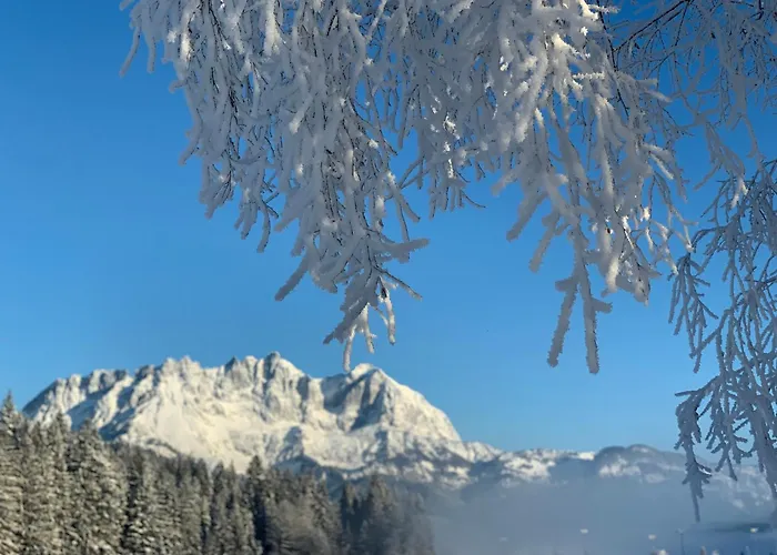 Alpin Charme Apartments Boutique Chalet Kitzbichl Διαμέρισμα