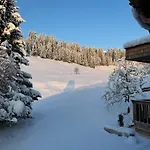 Boutique Chalet Kitzbichl By Alpin Charme Apartments