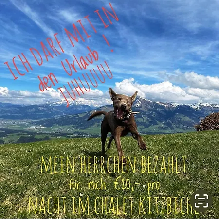 Διαμέρισμα Chalet Kitzbichl By Alpin Charme Apartments