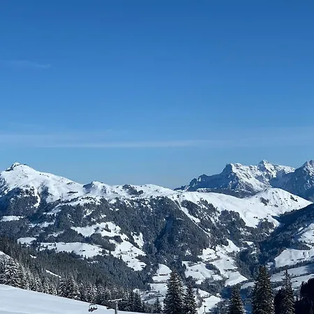 Chalet Kitzbichl By Alpin Charme Apartments Διαμέρισμα Reith bei Kitzbühel